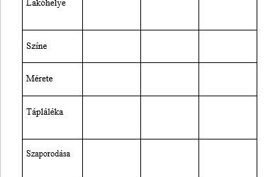 A mező rovarvilágáról tanulunk