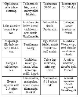 Vízimadarakról játékosan